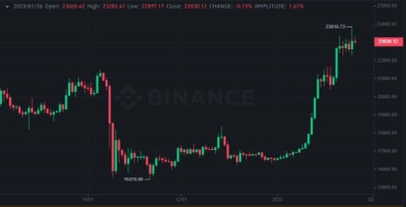 Chart Surprising Find: Bitcoin Market Undervalued? - Bitcoin