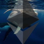aa - Financial Futurism - This Whale Keeps Grabbing Ethereum (ETH) Despite Price Rise – Potential Reason - ETH