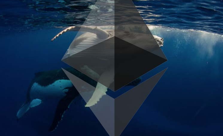 aa - Financial Futurism - This Whale Keeps Grabbing Ethereum (ETH) Despite Price Rise – Potential Reason - ETH