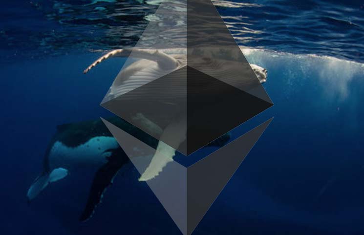 aa - Financial Futurism - This Whale Keeps Grabbing Ethereum (ETH) Despite Price Rise – Potential Reason - ETH