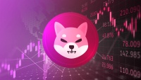 shiba inu price - Financial Futurism - Shiba Inu Burn Rate Skyrockets: 5.6 Billion SHIB Torched in 24 Hours – What Does This Mean for Investors? -